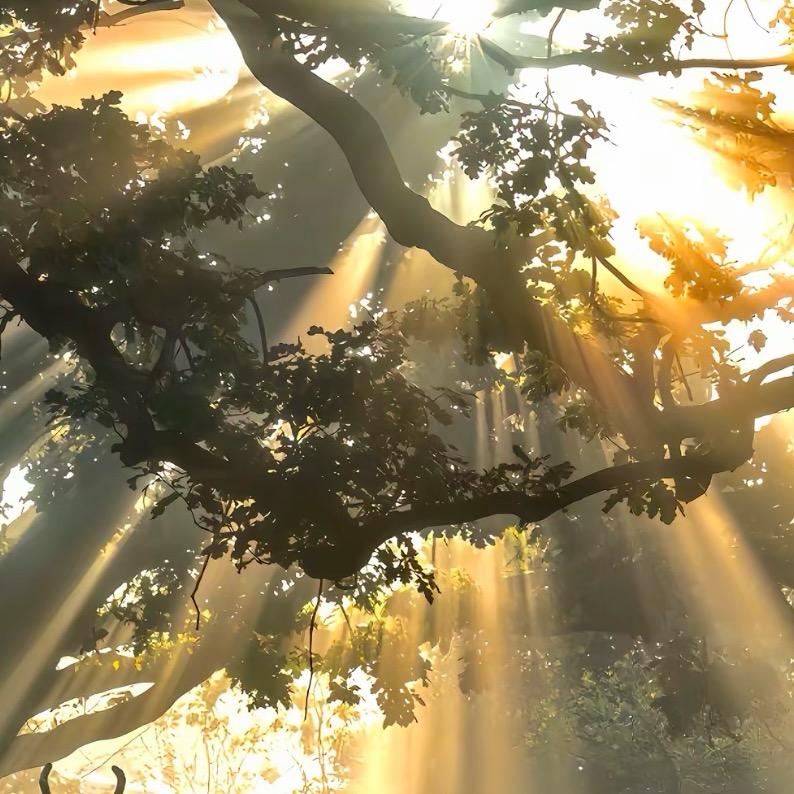 风景秀丽