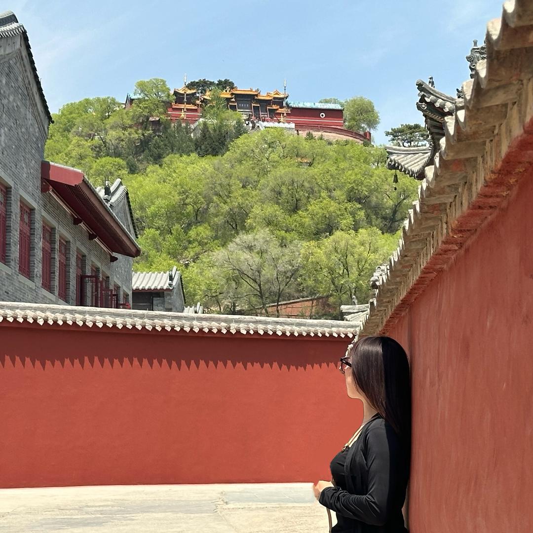 月亮掉了色🧚‍♀️