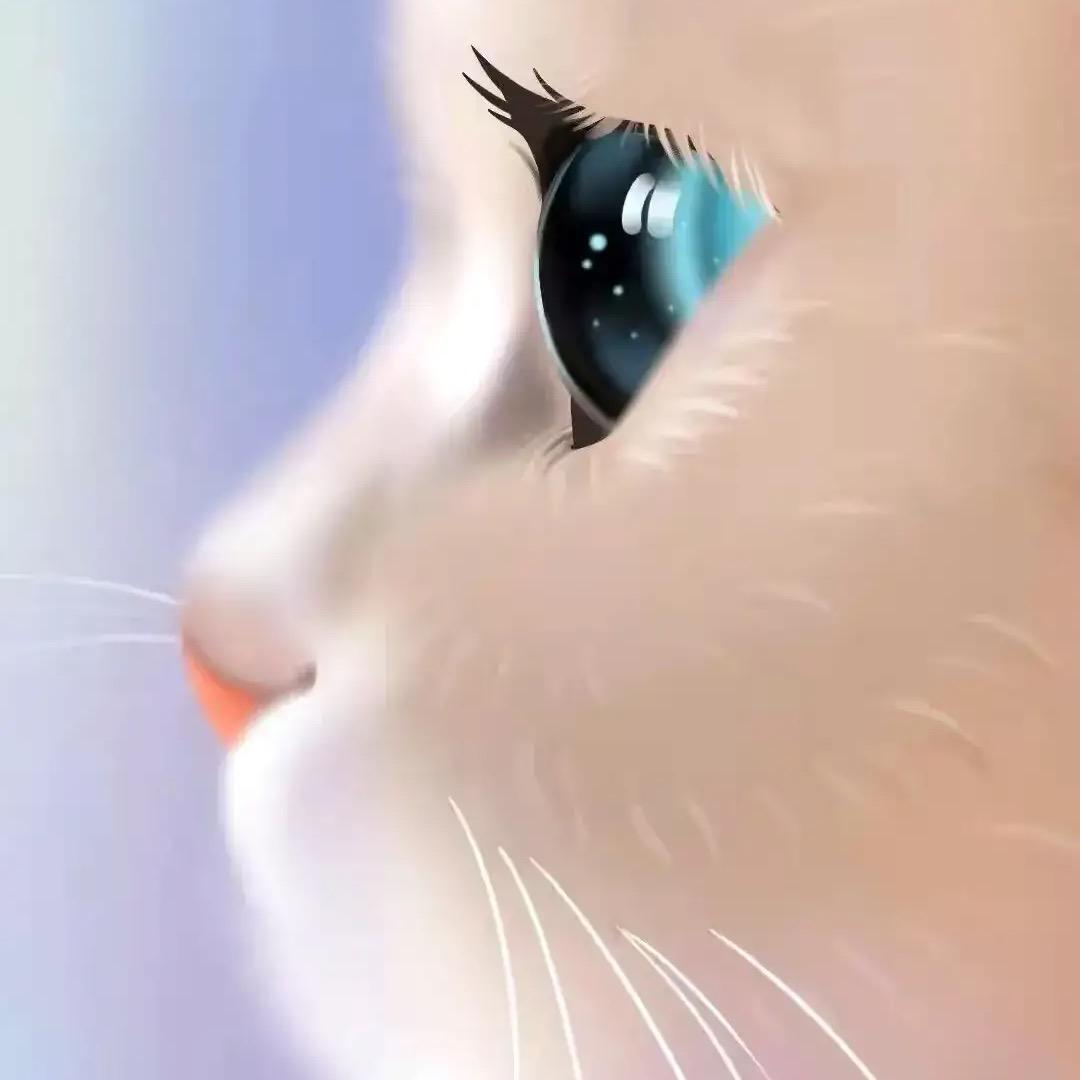 沉鱼（乐游黄教练）