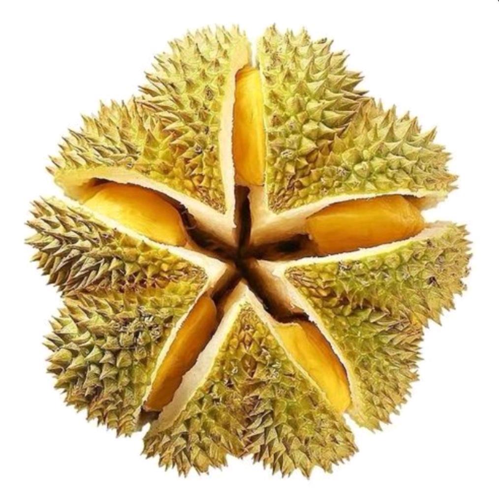 通达严选榴莲