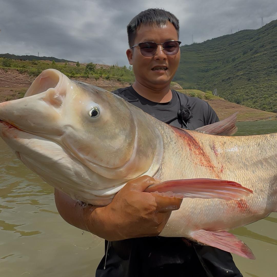 波波钓鱼🎣