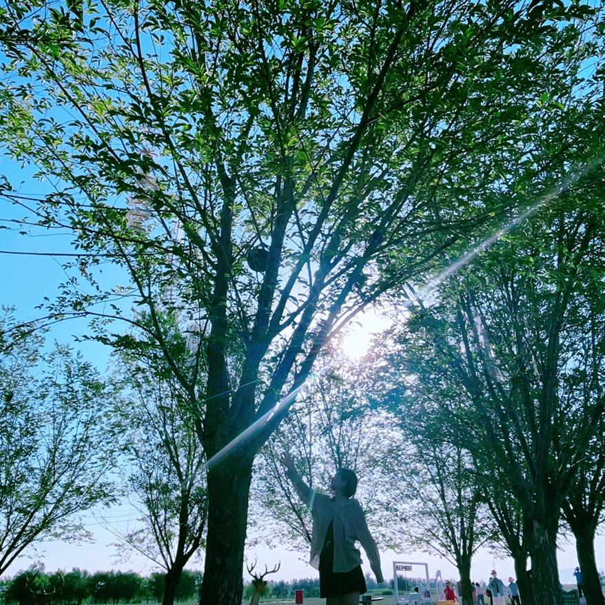 幸福是🌹奋斗🌹出来的✨