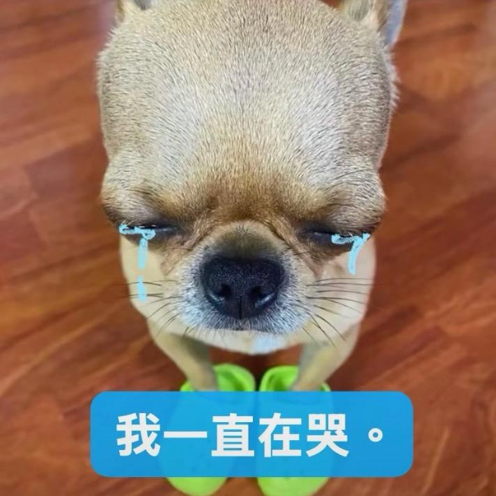玉米小子