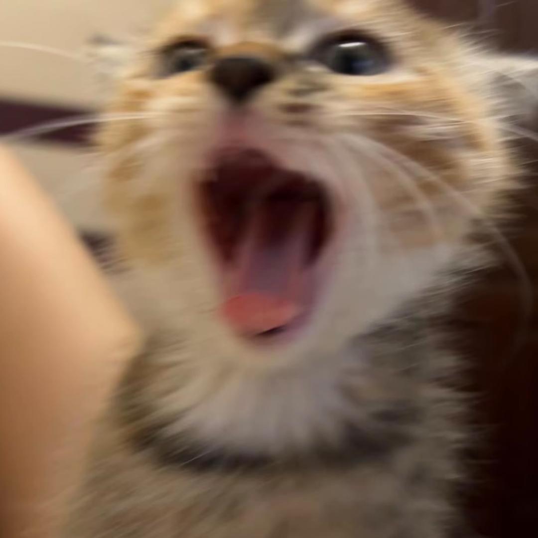伊芜安