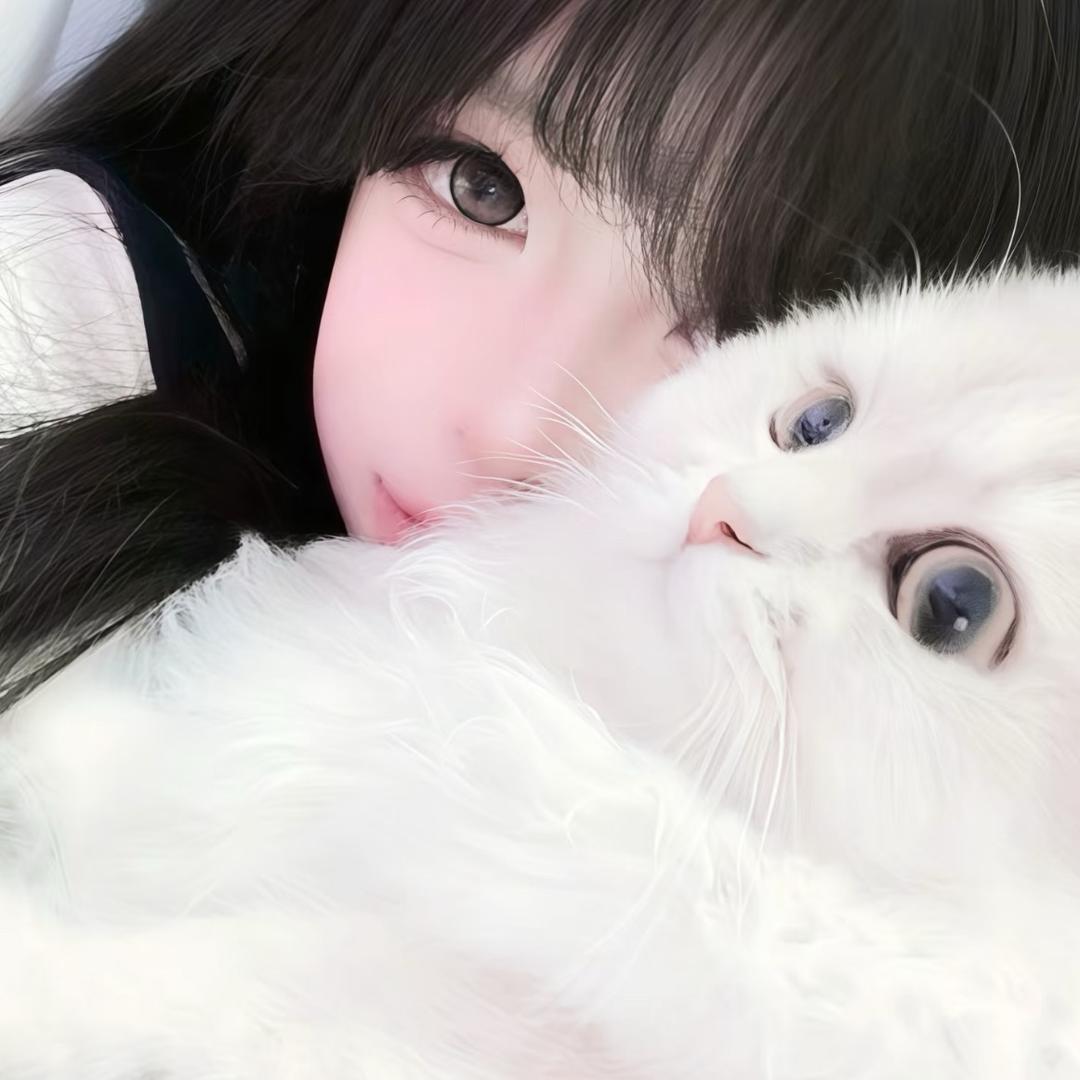 Qdongdong