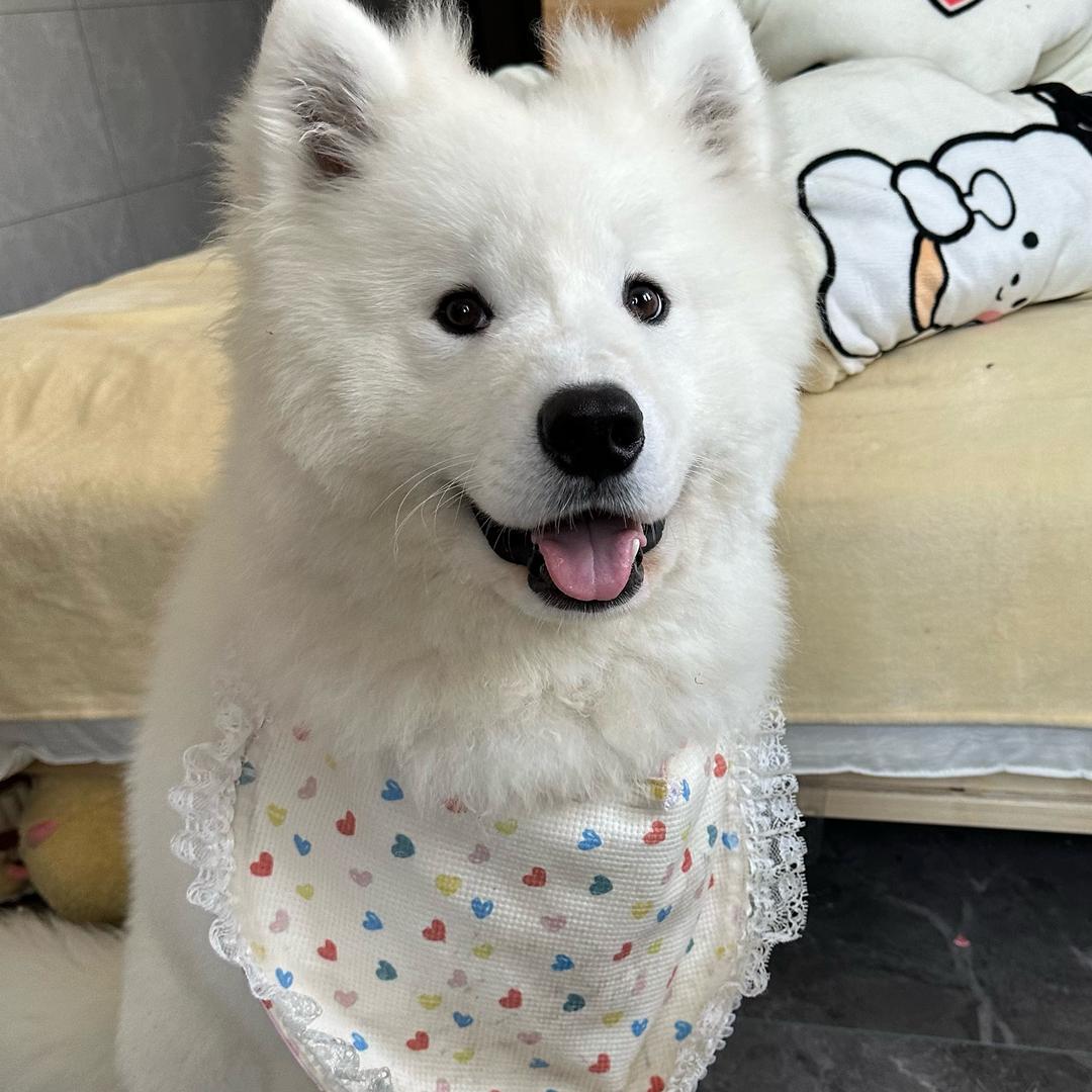 麻辣燙
