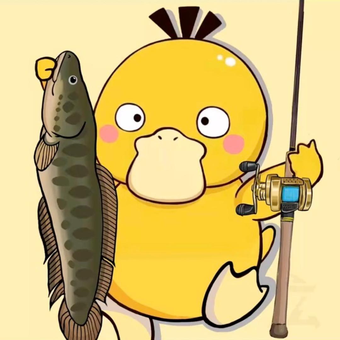 泗洪化氏未签约钓手