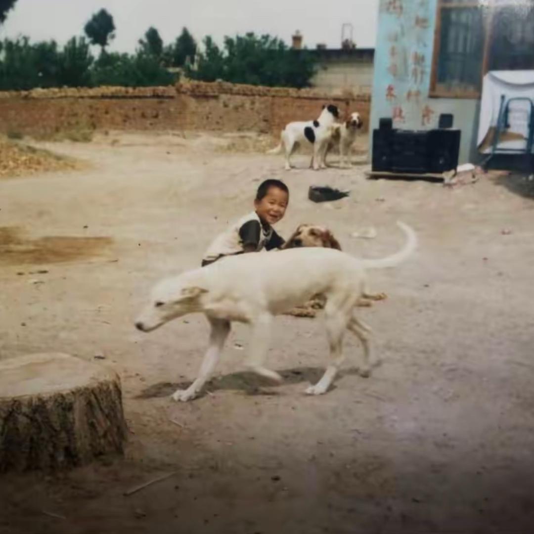 潘宏爱看狗