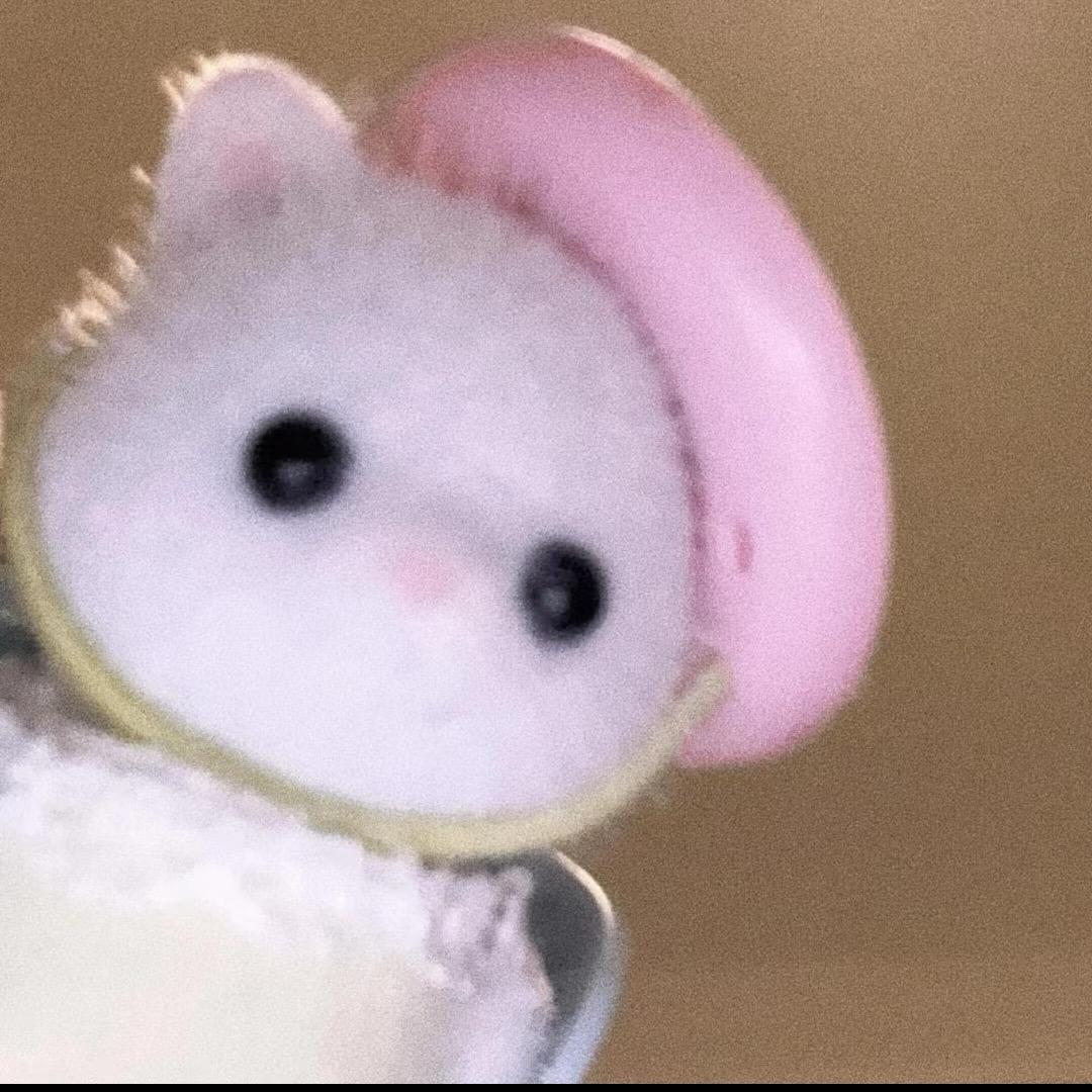 贝贝贝
