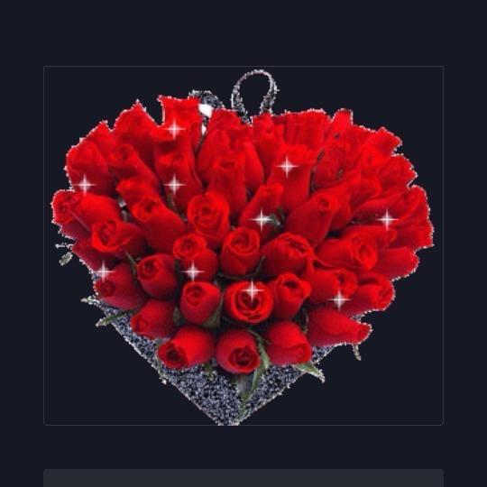 🌺，富贵花开，🌺，拒聊