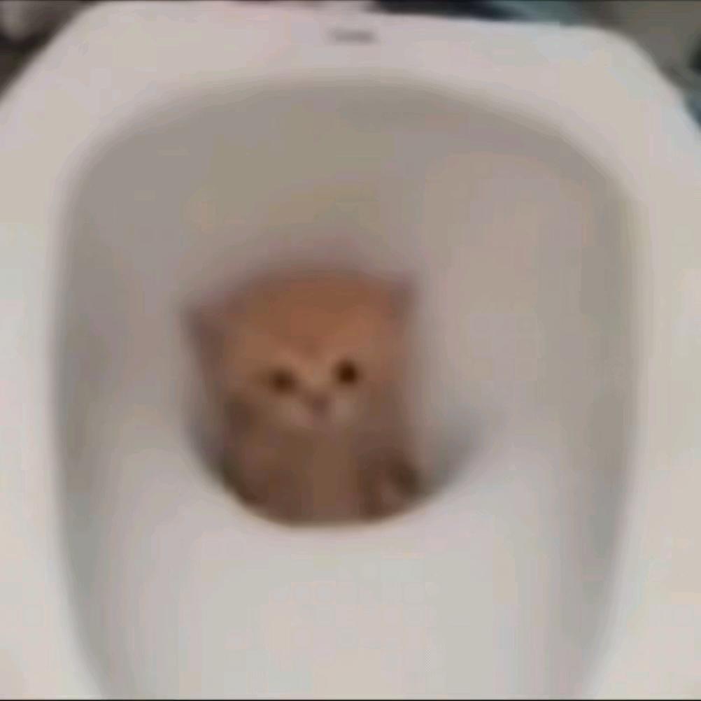 喜多多