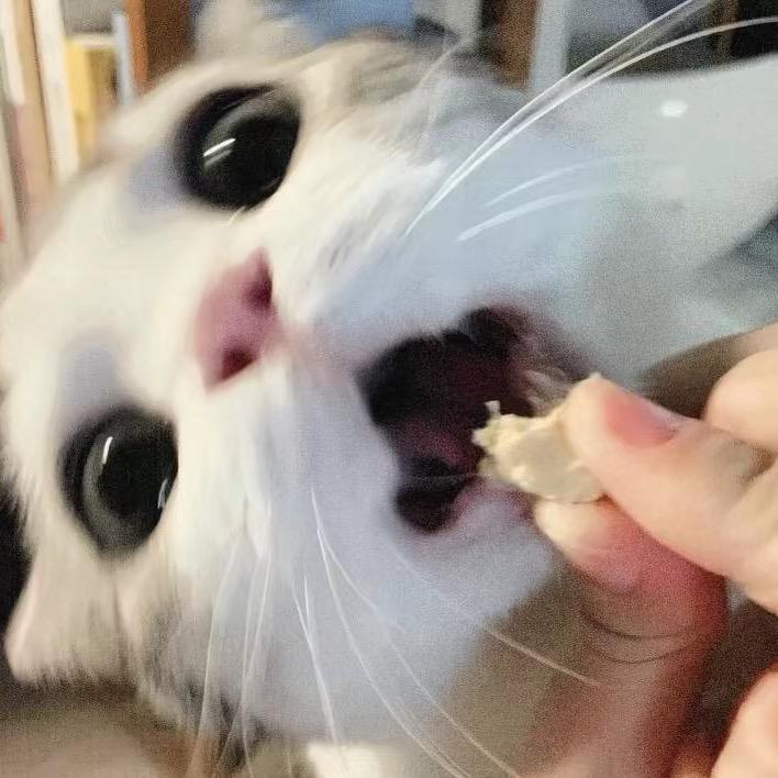 Aaa小陈采耳