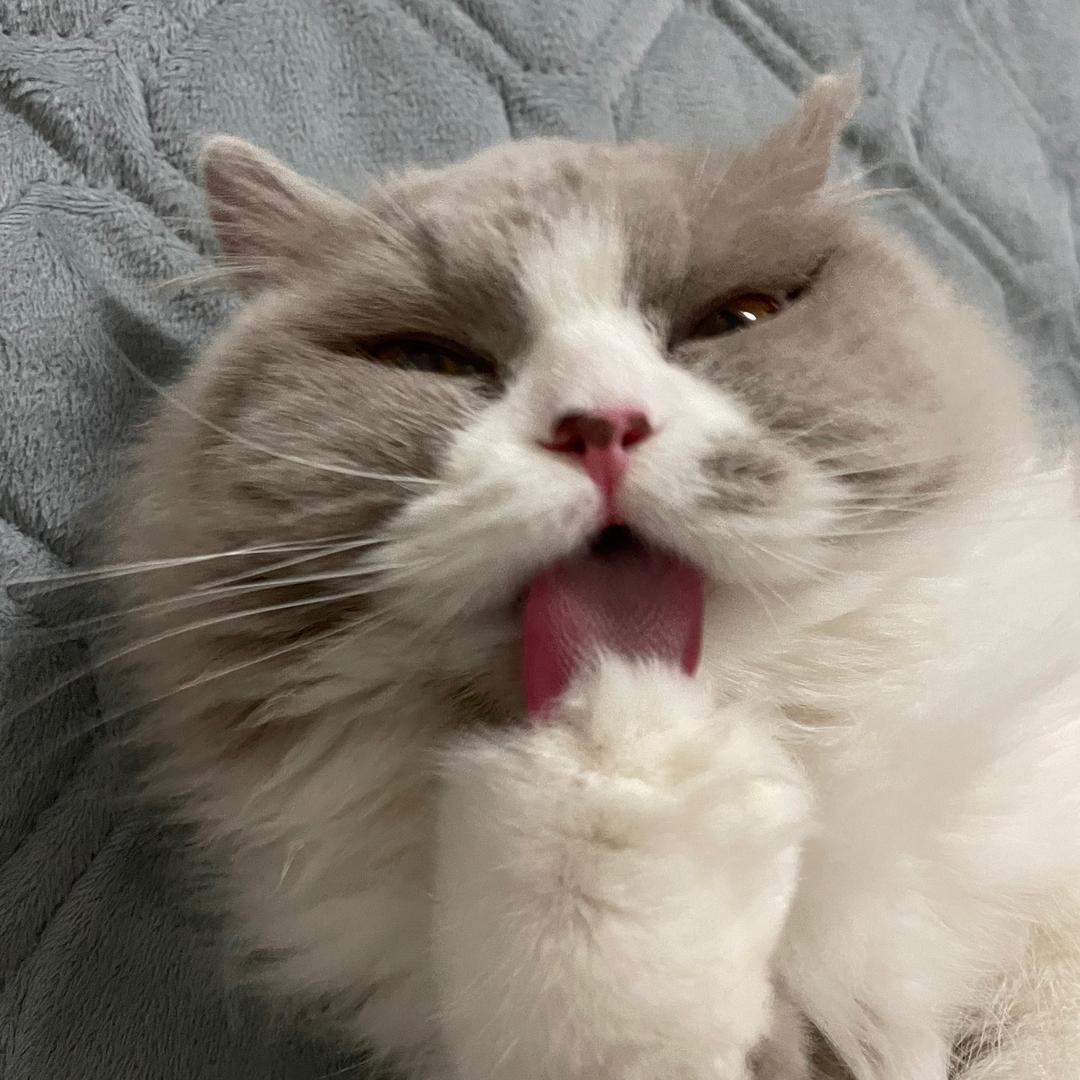 车尔尼