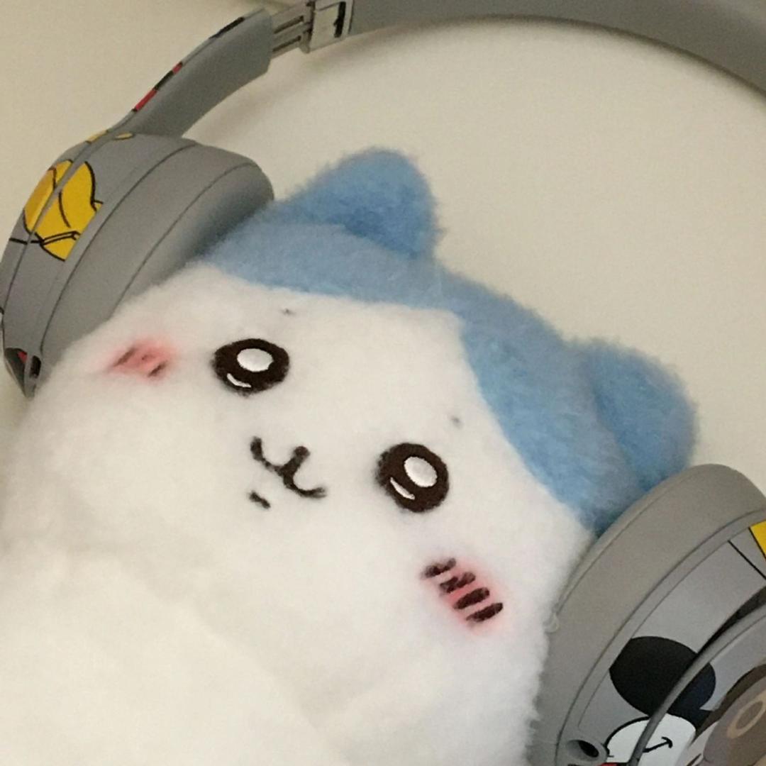 没落的夹子公主