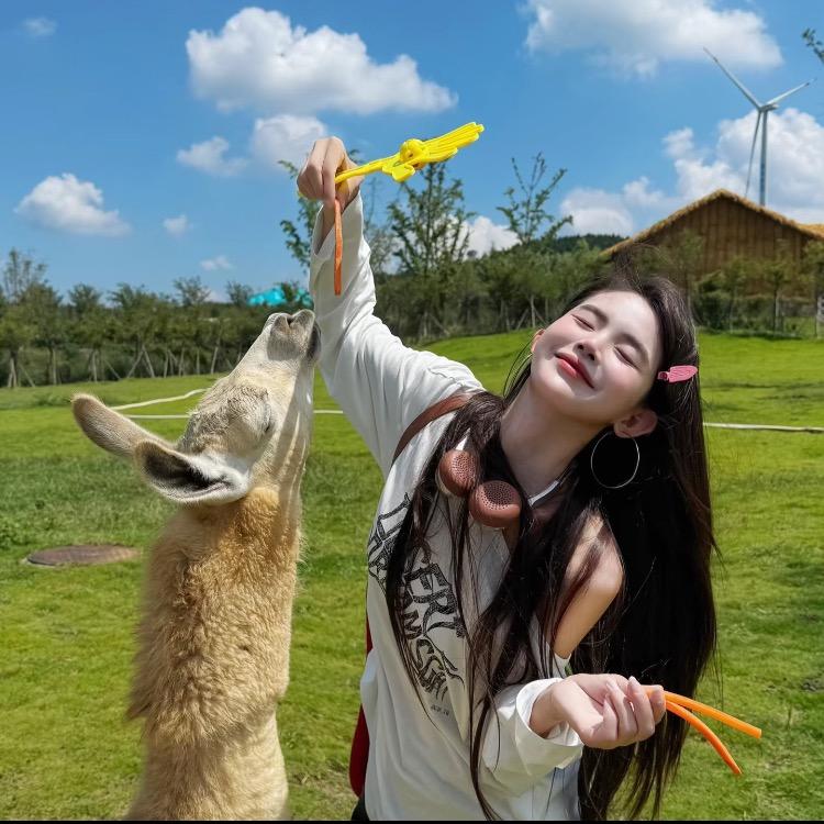 笺信