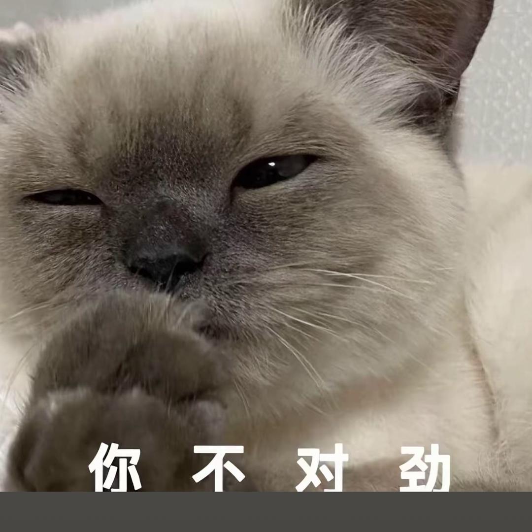 支点文化涵涵