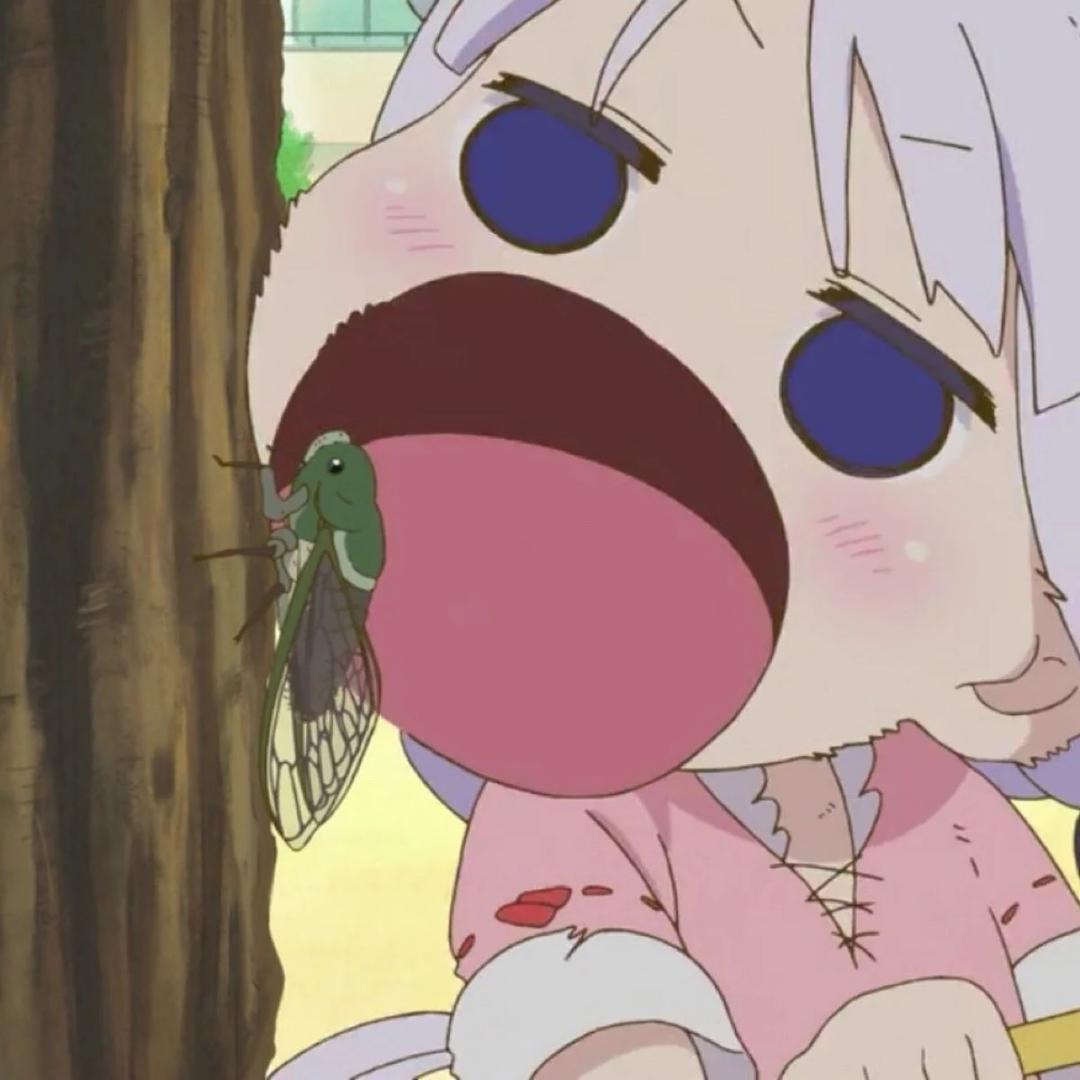 刘知了zZ