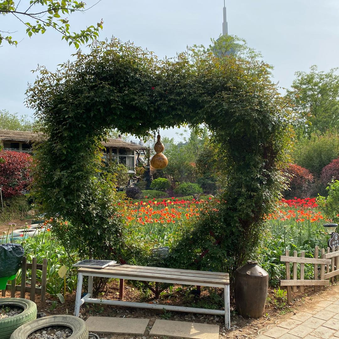 ⁽⁽ଘ💗郑好遇见李💞ଓ⁾⁾