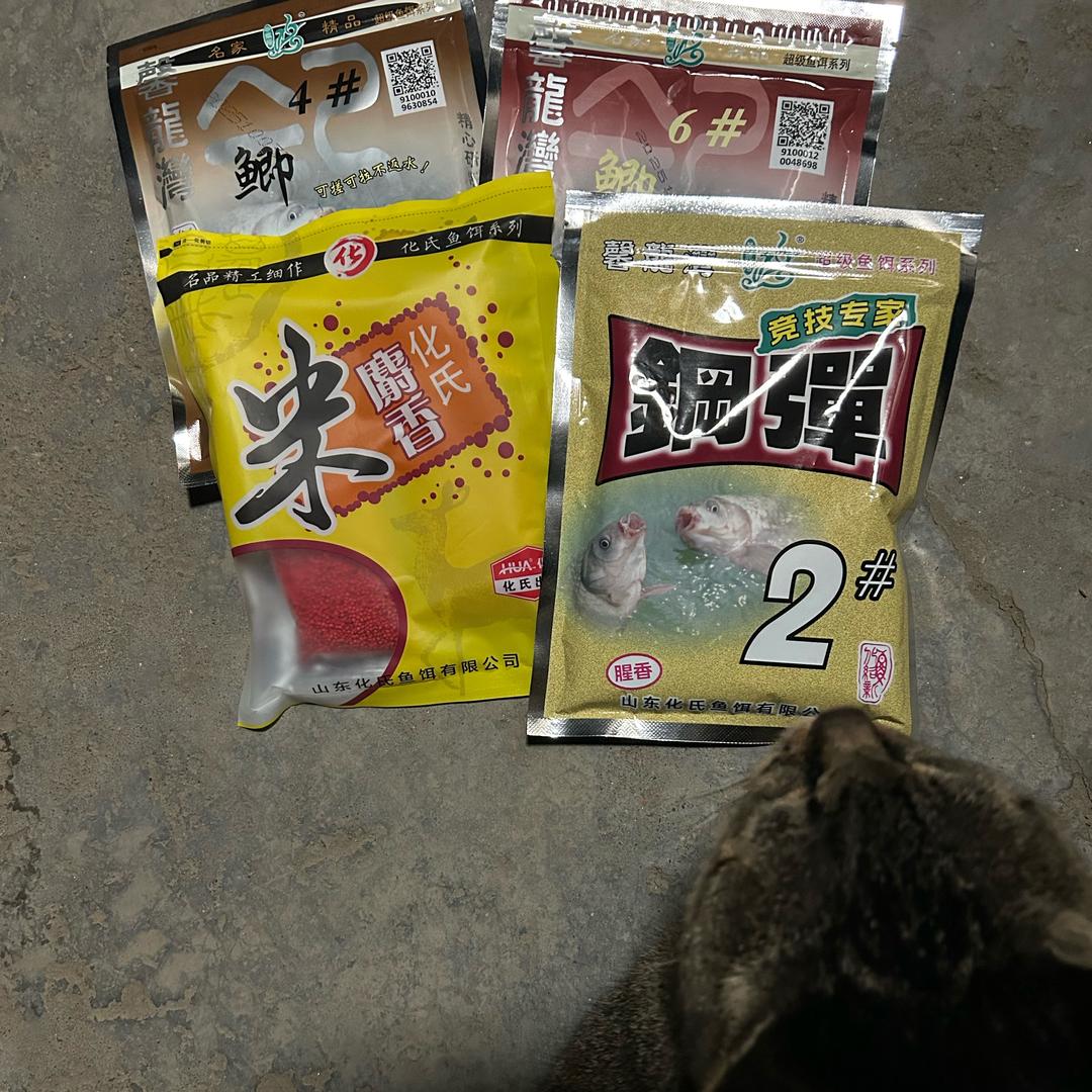 野钓空军的男人🧍‍♂️