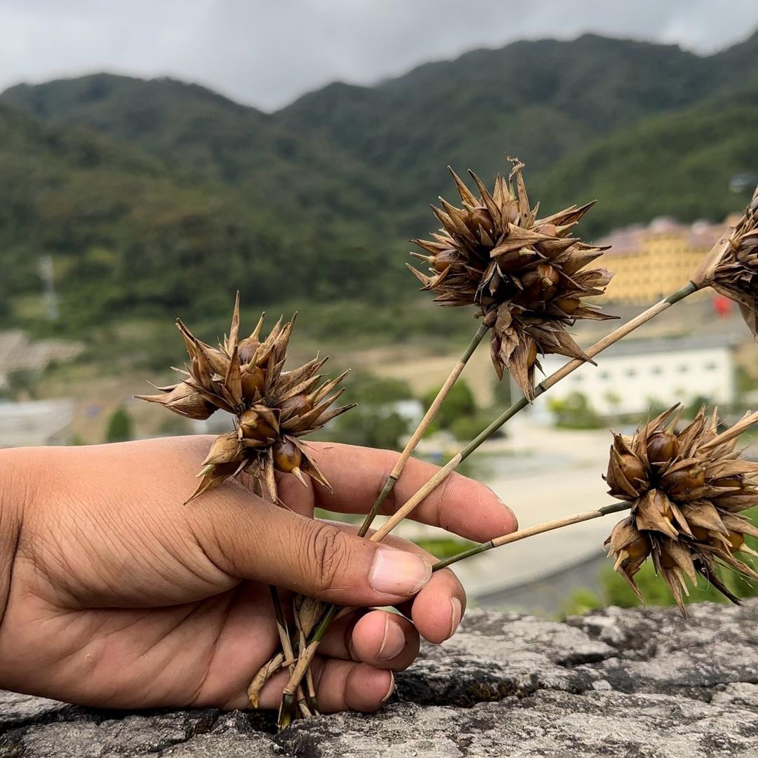 御品山货的头像