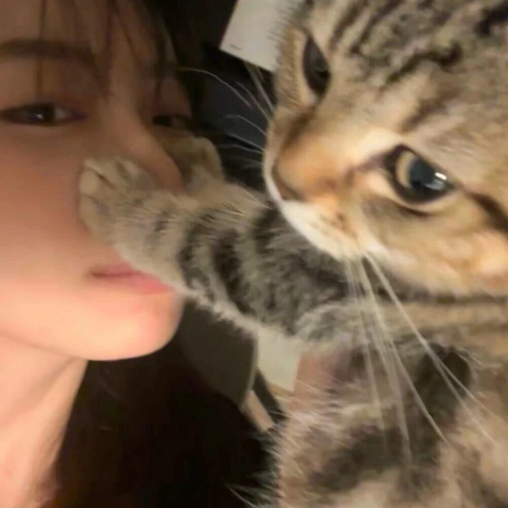 柒㑊‘