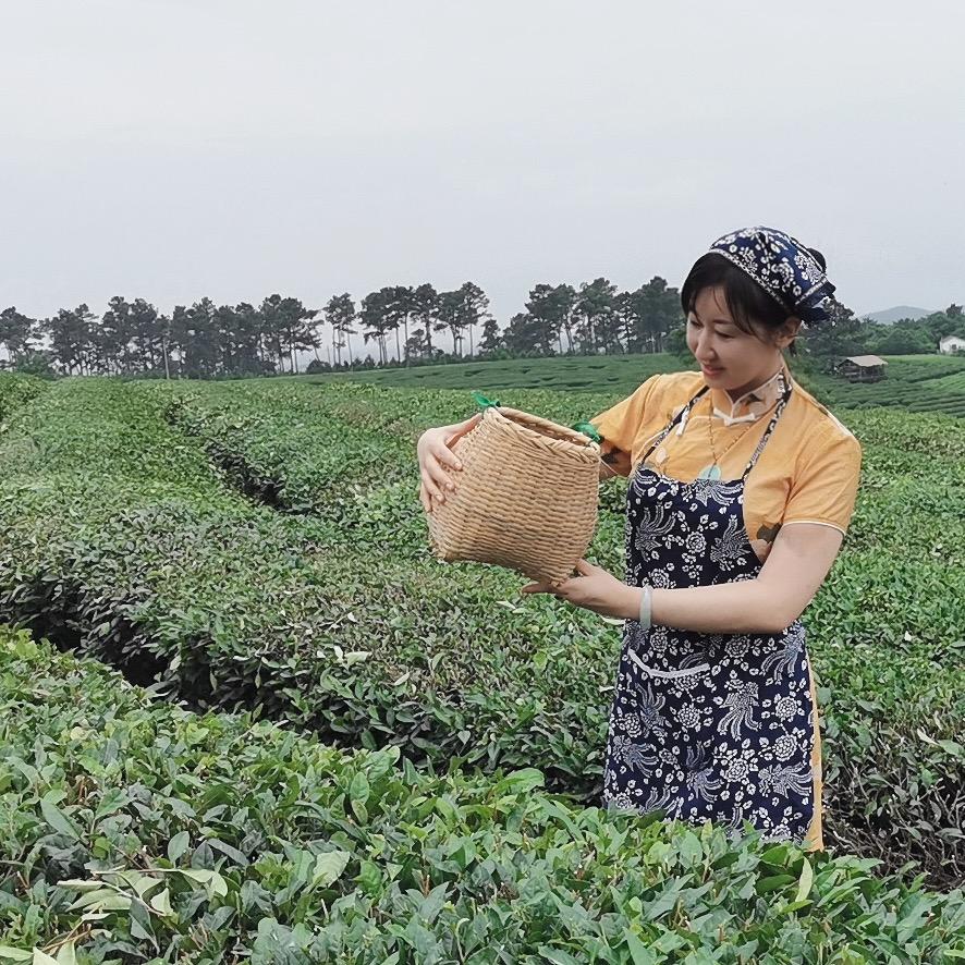 南京问茶集