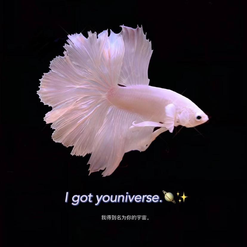 一尾淡水鱼