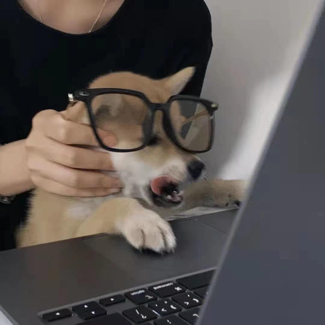 단락
