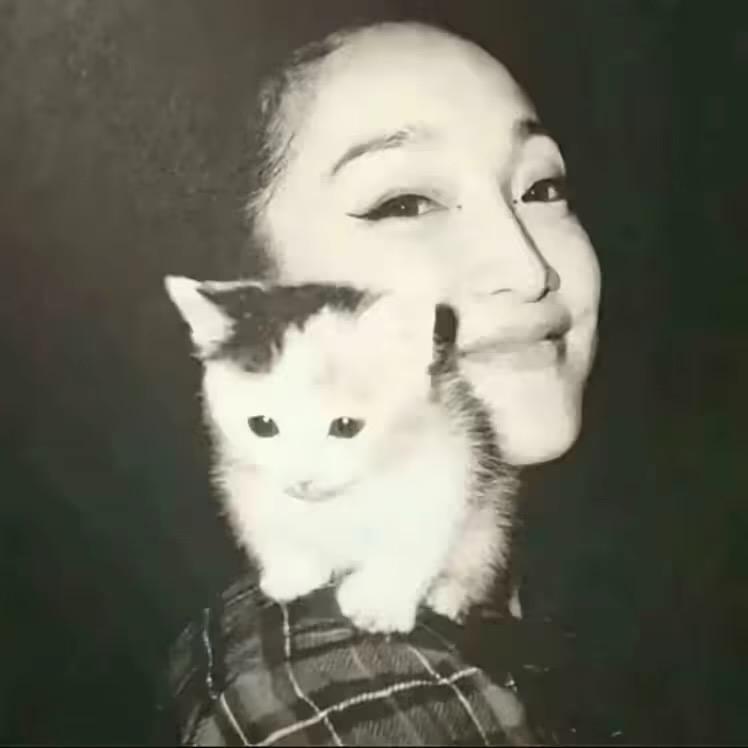 菲菲的猪头