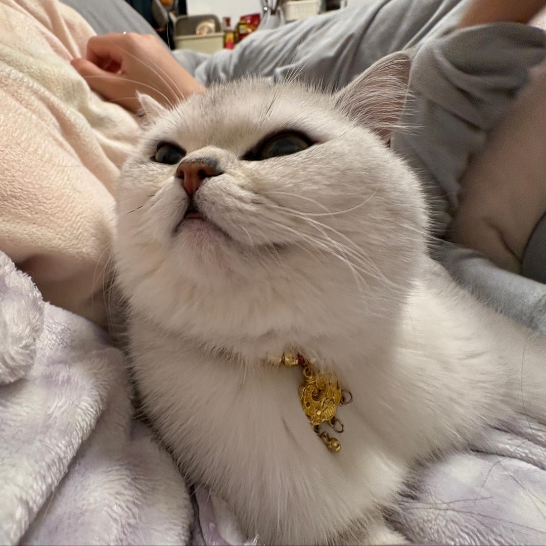 莓烦恼