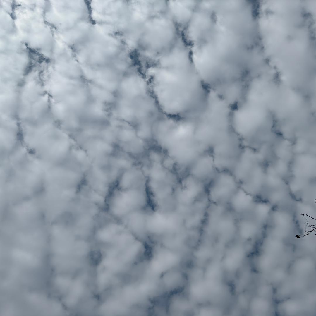 月月鹏