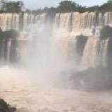 神奇飞天兔.❤️‍🔥