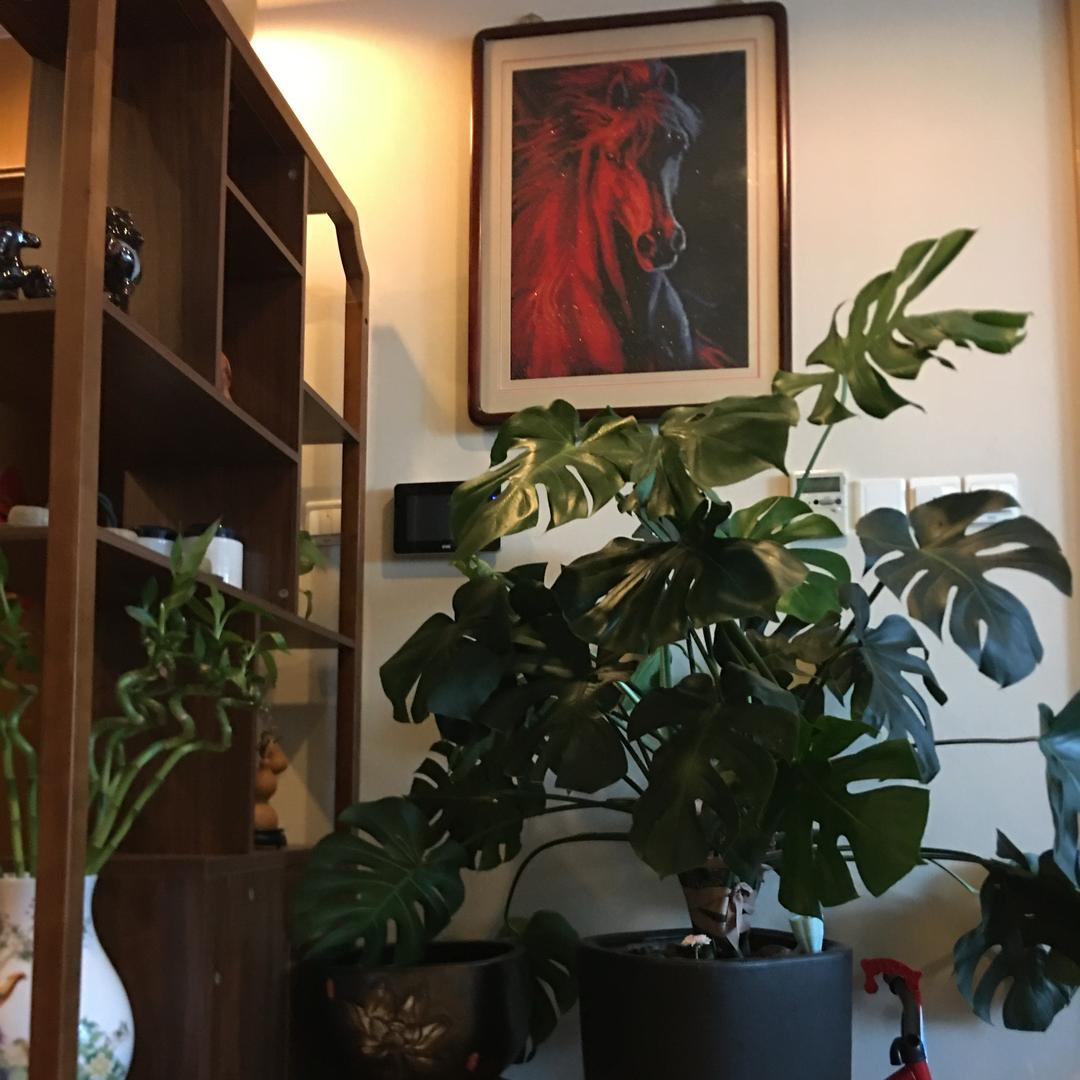 🍃圆融つ😘つ