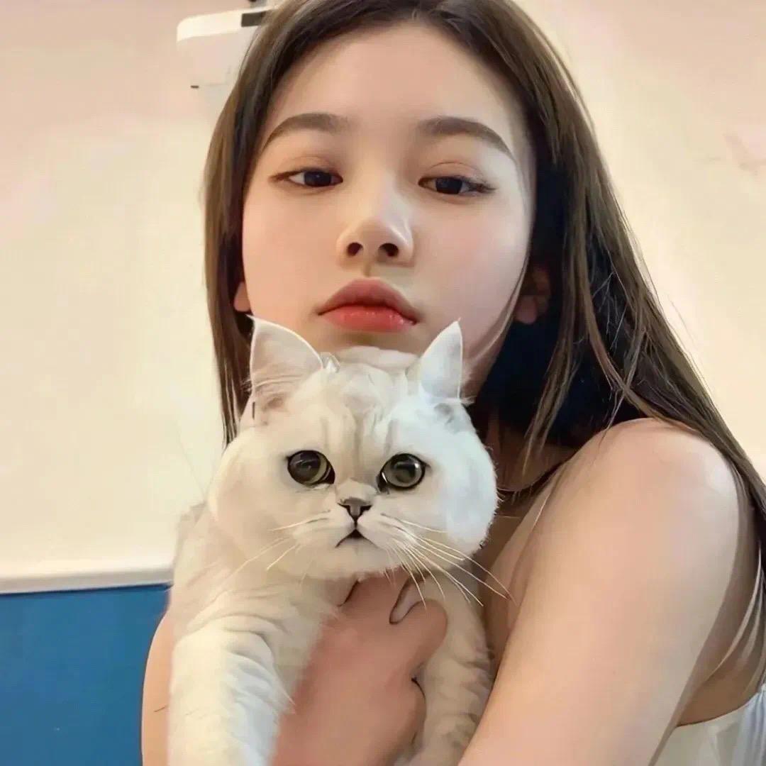 圆圆圈圈