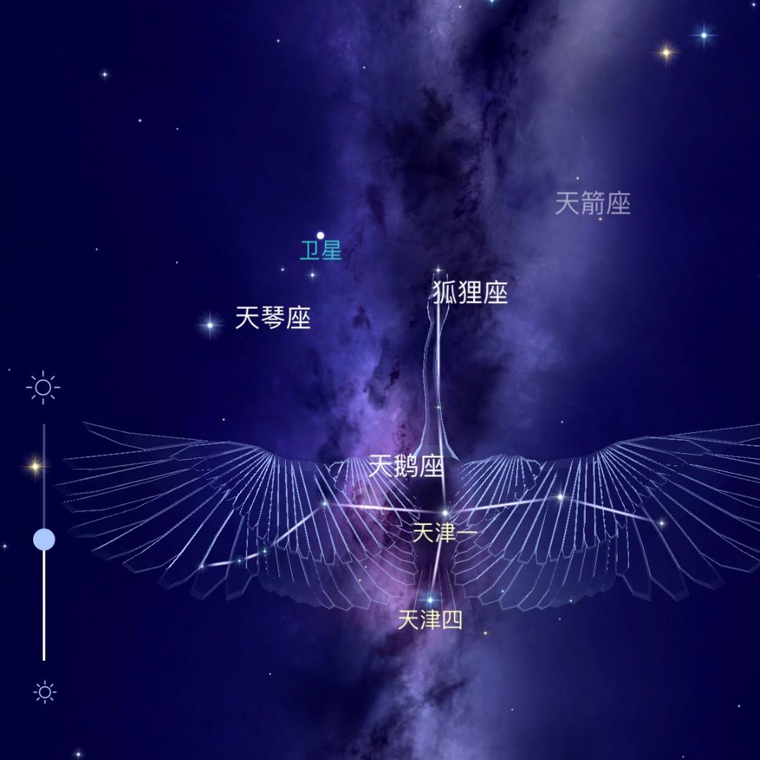 一叶知秋惋风曲