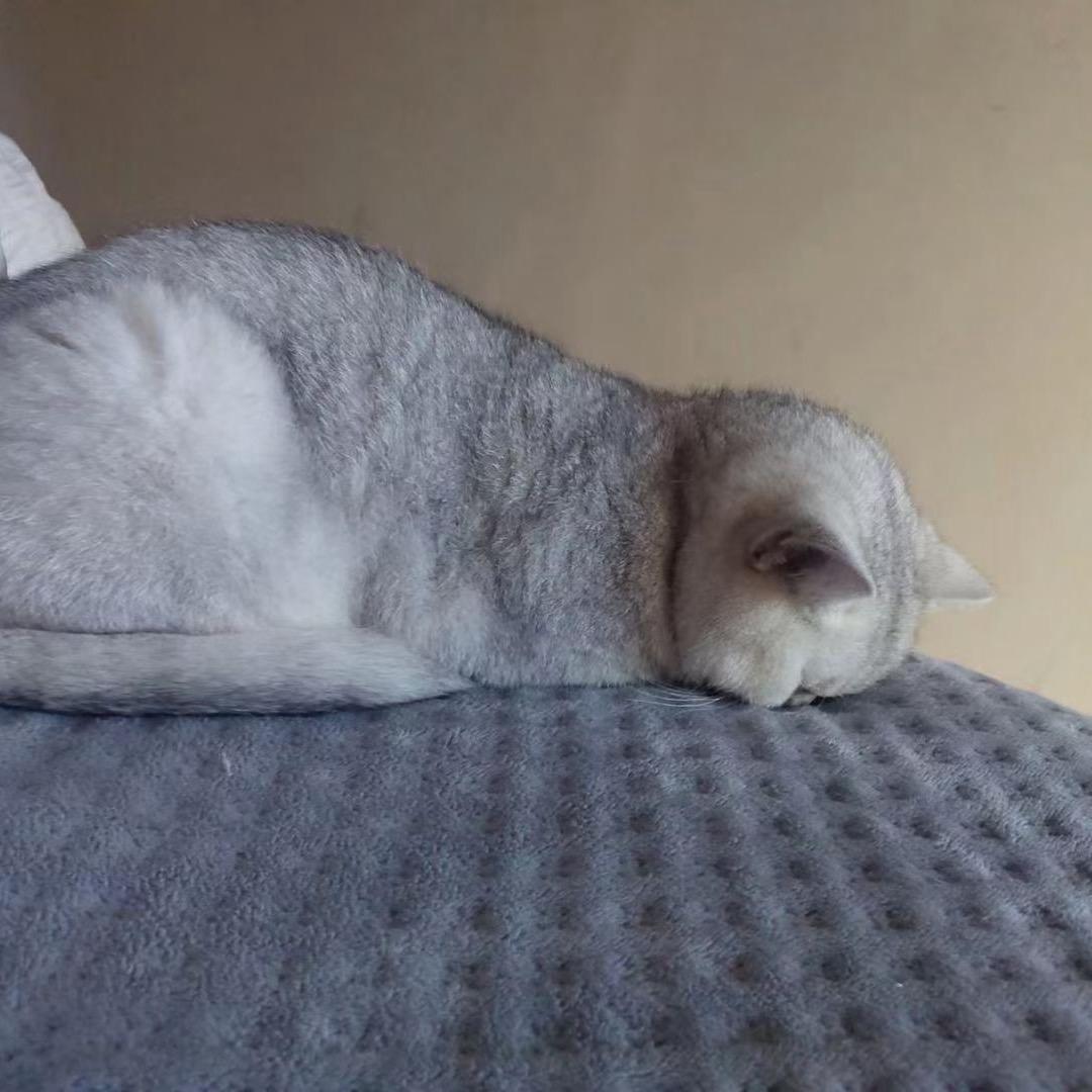船夫