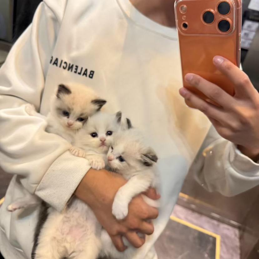 愿儿🍎平安幸福💝