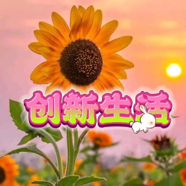 创新生活