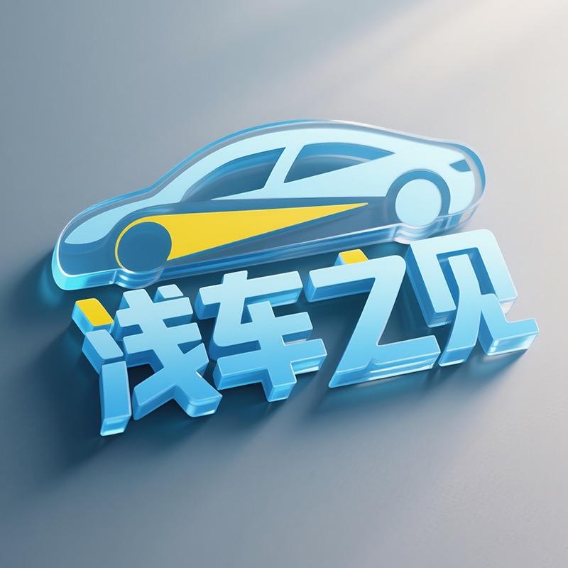 浅车之见