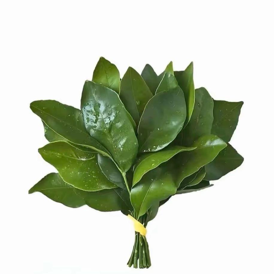 瘦不到九十斤不改名