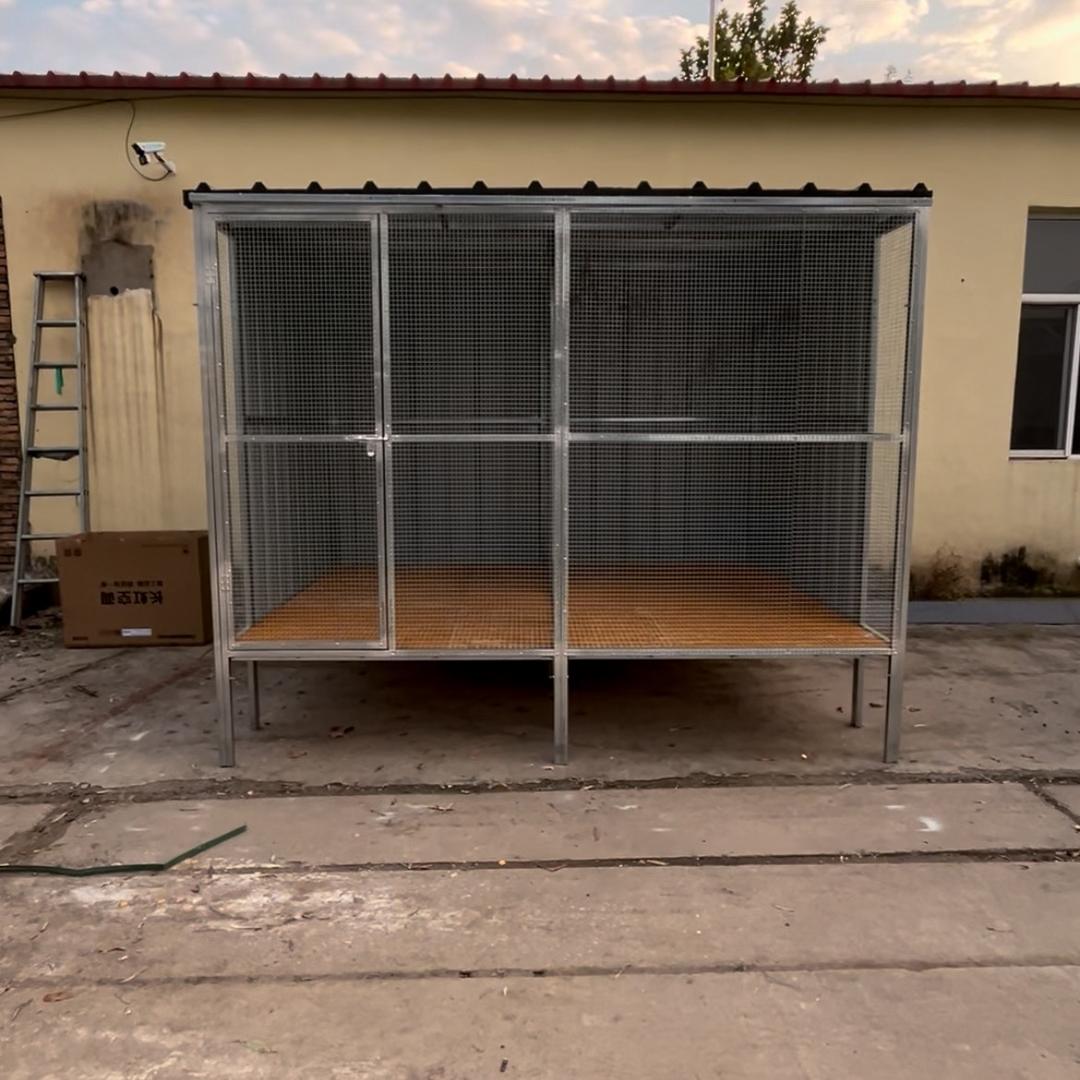 鸽具用品小店