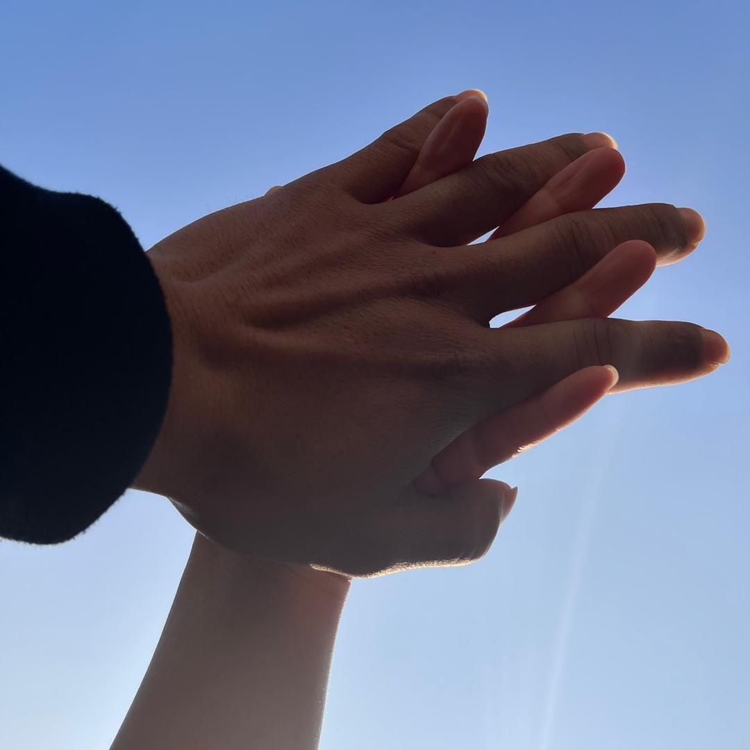 阿拉伯婆婆纳