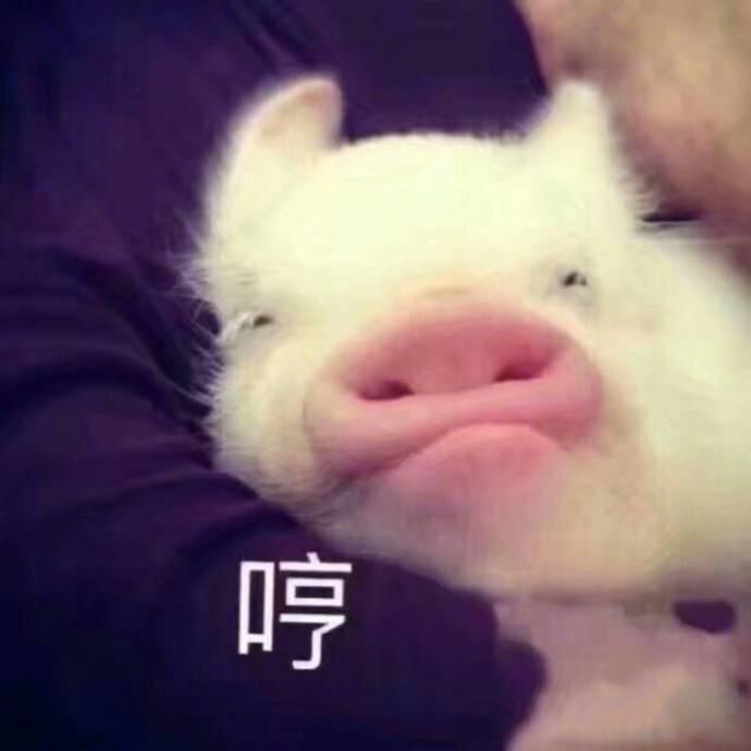 小美鱼