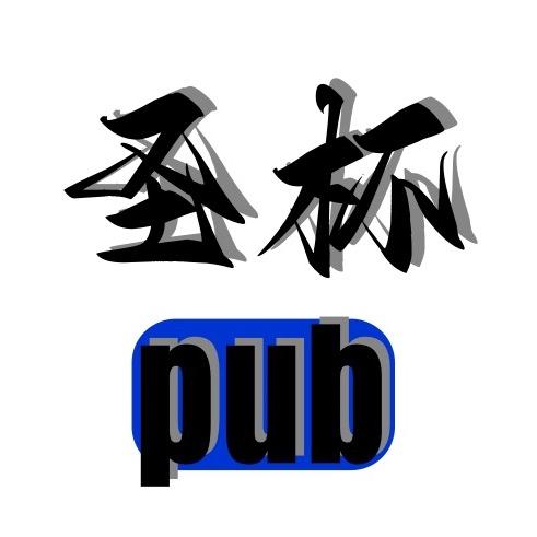 圣杯酒馆pu b