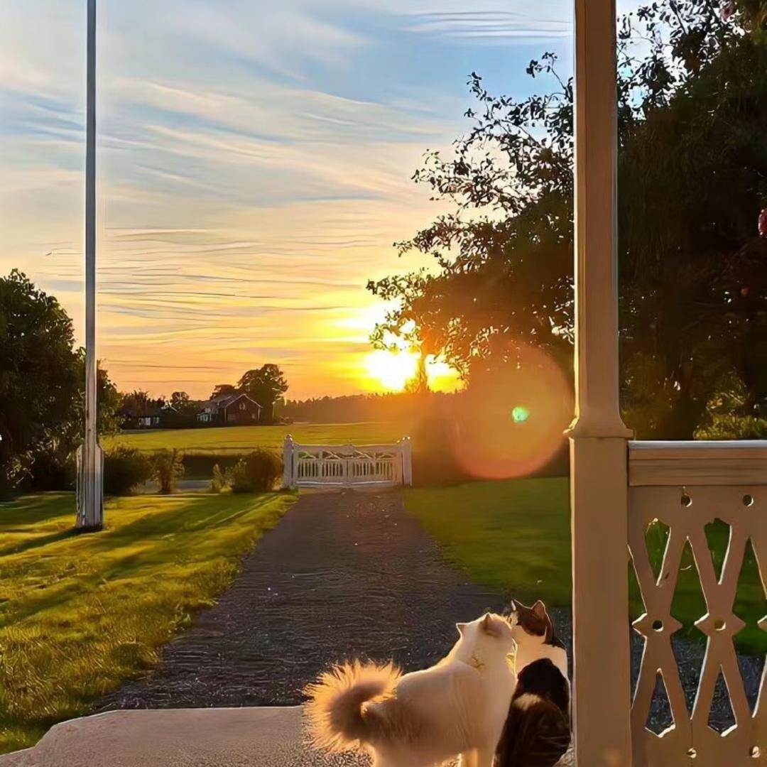 扎西德勒🫨（西西）