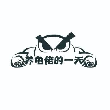 养龟佬的一天🐢（收退坑蛋龟）