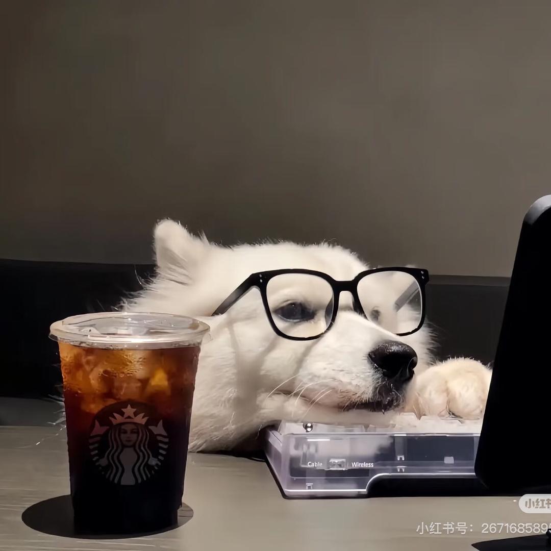 凯迪拉克不拉客