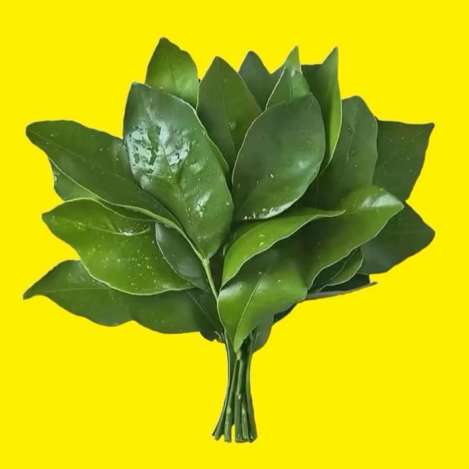 看不惯就爆井吧🥷