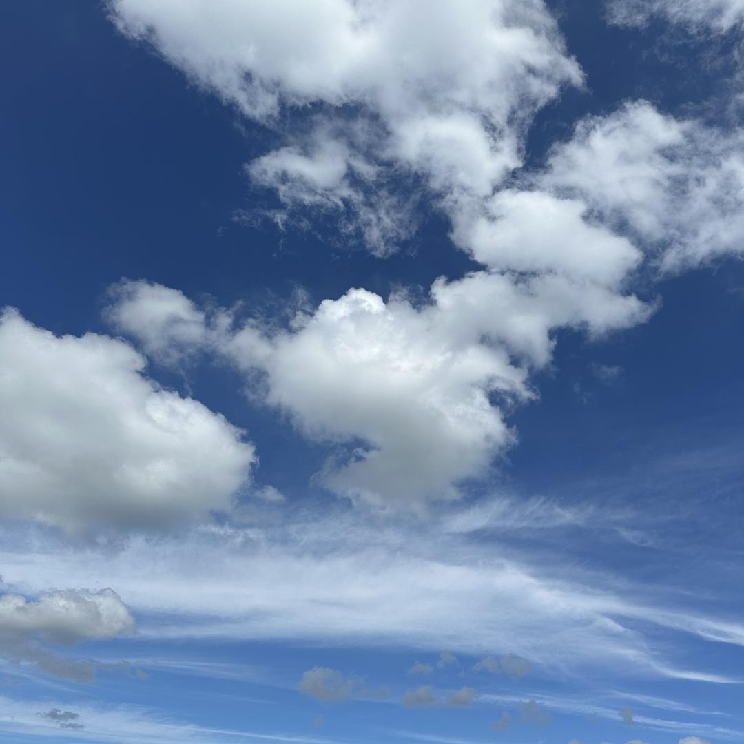 湖北贝维启网络科技有限公司