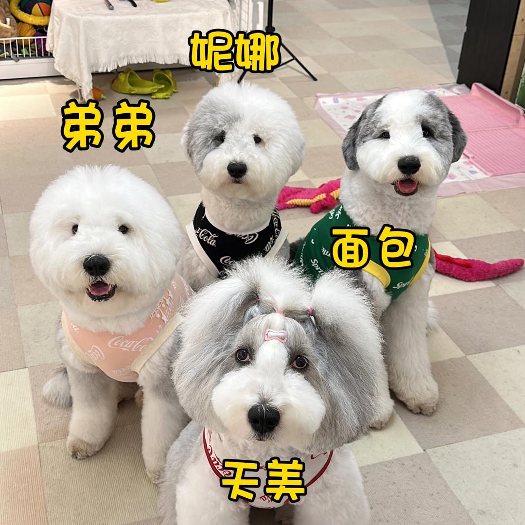 古牧天美和她的小老弟